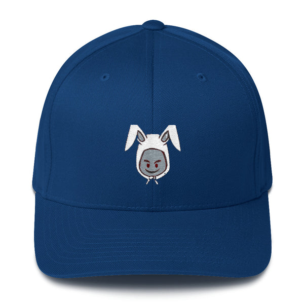Structured Twill Cap