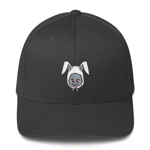 Structured Twill Cap