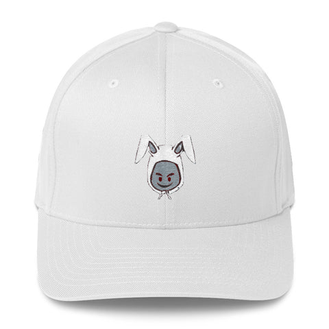 Structured Twill Cap