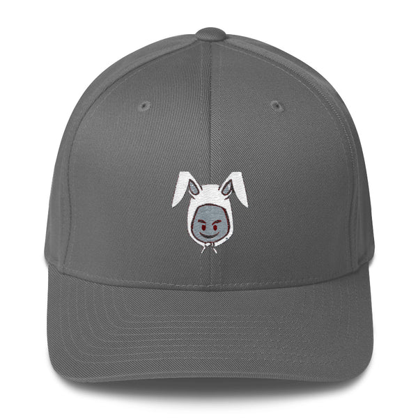 Structured Twill Cap